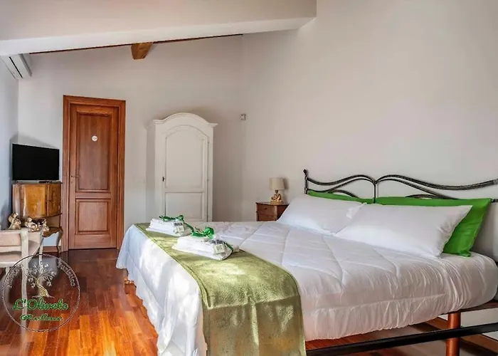 Oliveto Relax Alloggio Turistico